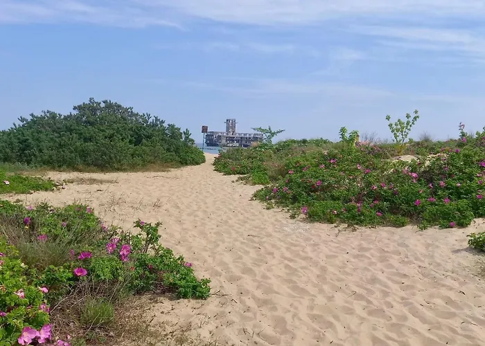 Z Widokiem Na Morze Przy Plazy Babie Doly 格丁尼亚